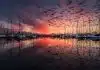 boats, port, sunrise