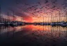 boats, port, sunrise