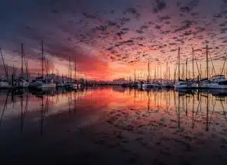 boats, port, sunrise