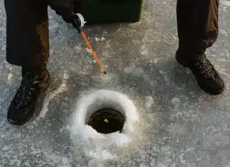 Les différents types de matériel de pêche à connaître avant de choisir