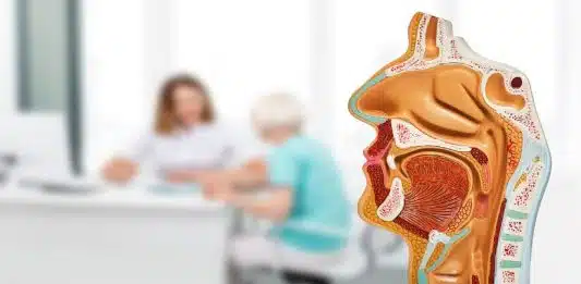 Les principaux cancers de la sphère ORL Les principaux cancers de la sphère ORL