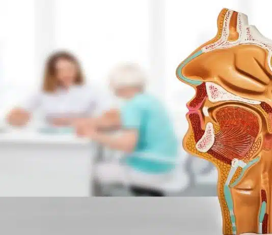 Les principaux cancers de la sphère ORL