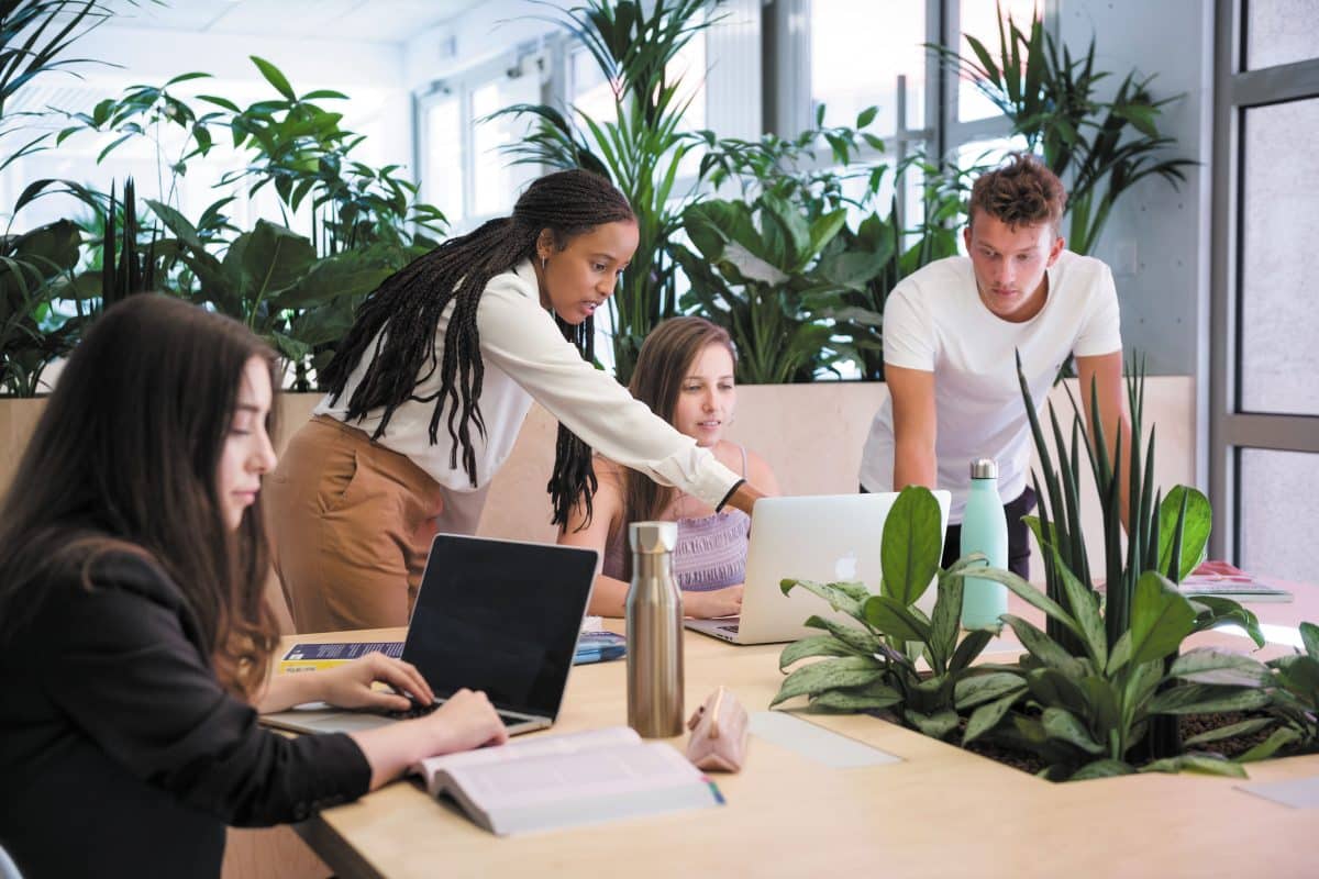 Quelles sont les formations disponibles dans une école d’environnement ?