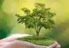 Quelles sont les formations disponibles dans une école d’environnement ?