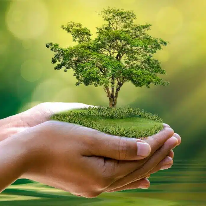Quelles sont les formations disponibles dans une école d’environnement ?