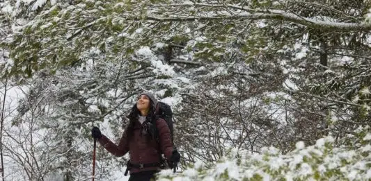 Comment s’habiller en forêt ?