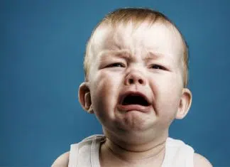 Comment faire le bilan d’une Micro-entreprise ?