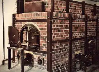 Combien coûte une incinération en 2022 ? Combien coûte une incinération en 2022 ?