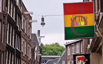 Où trouver du CBD en Belgique ?