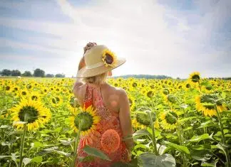 Tout savoir sur la luminothérapie